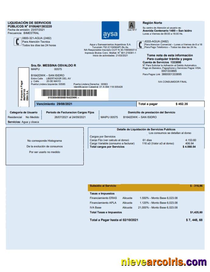 Argentina water utility bill Aysa doc and pdf